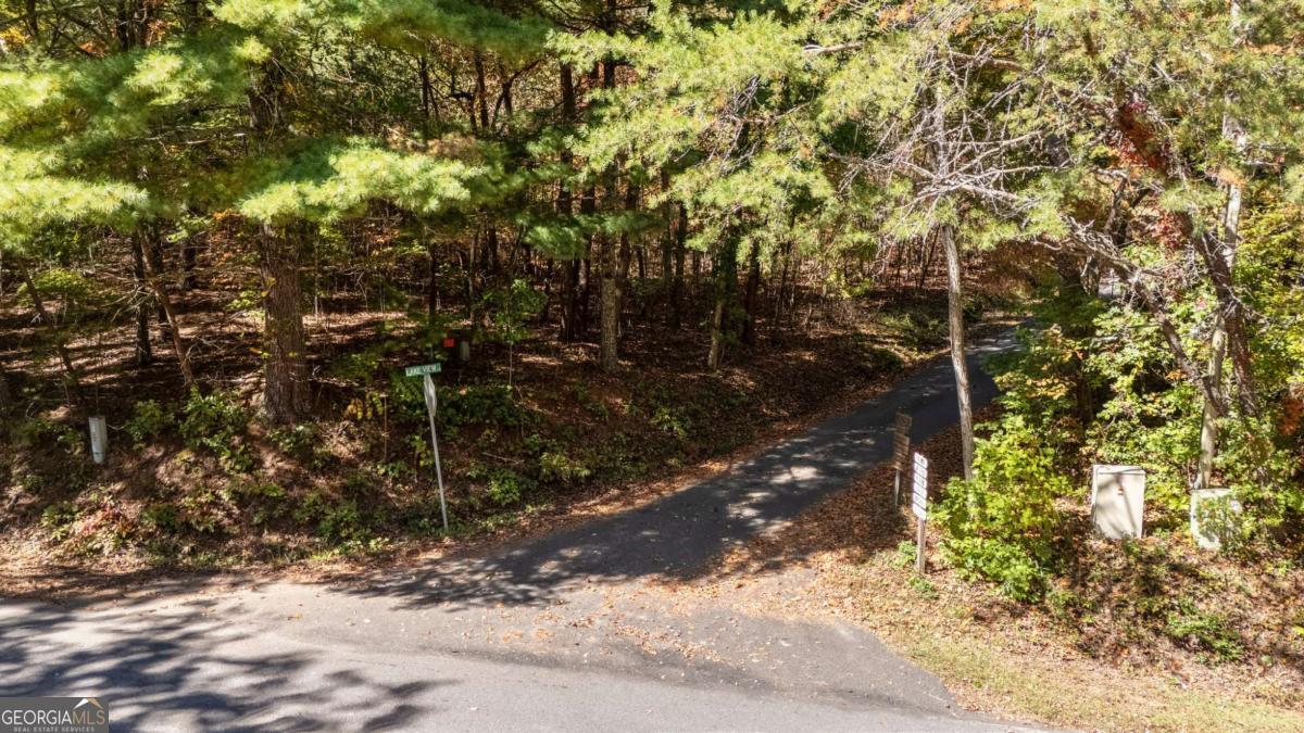 Lot 1 Twin Mountain Road Hiawassee, GA 30546 - Photo 4 of 5