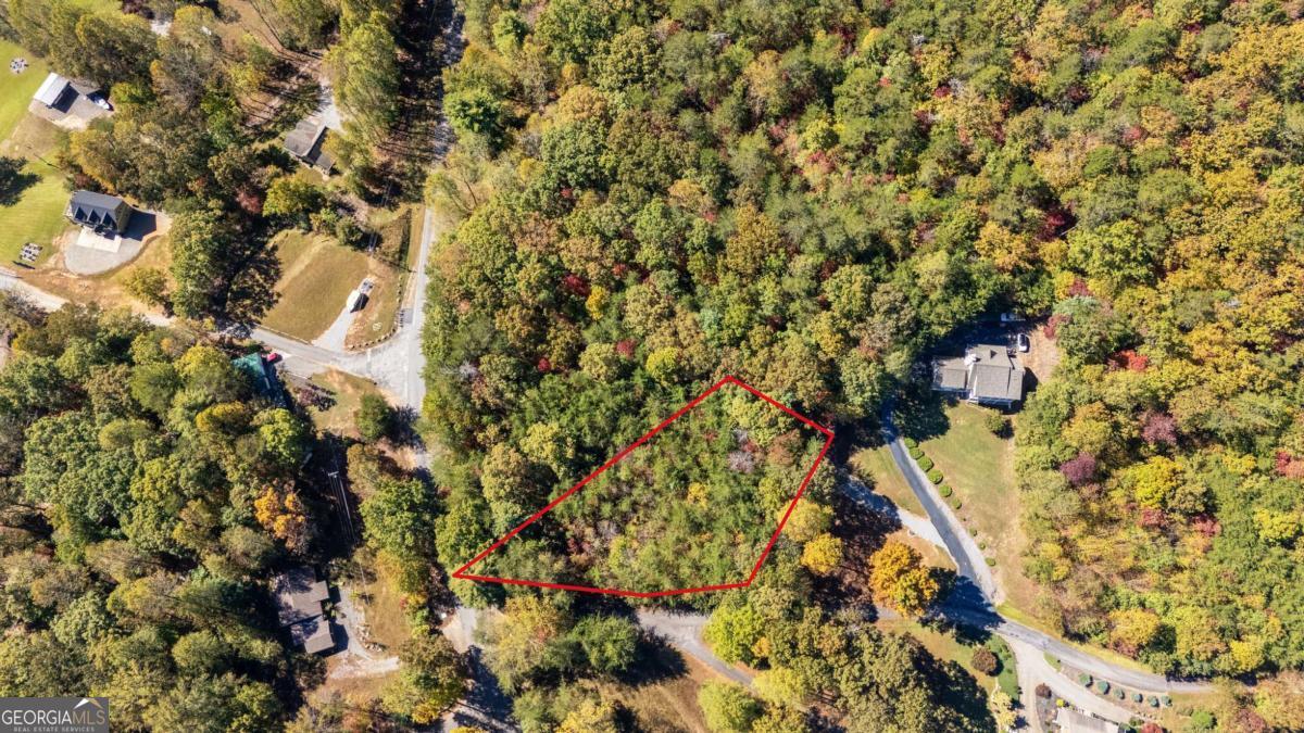 Lot 1 Twin Mountain Road Hiawassee, GA 30546 - Photo 5 of 5