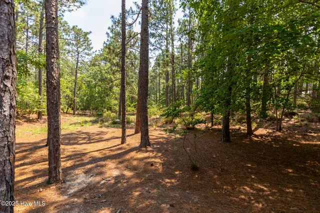 $525,000 | 181 James Drive, West End, NC 27376