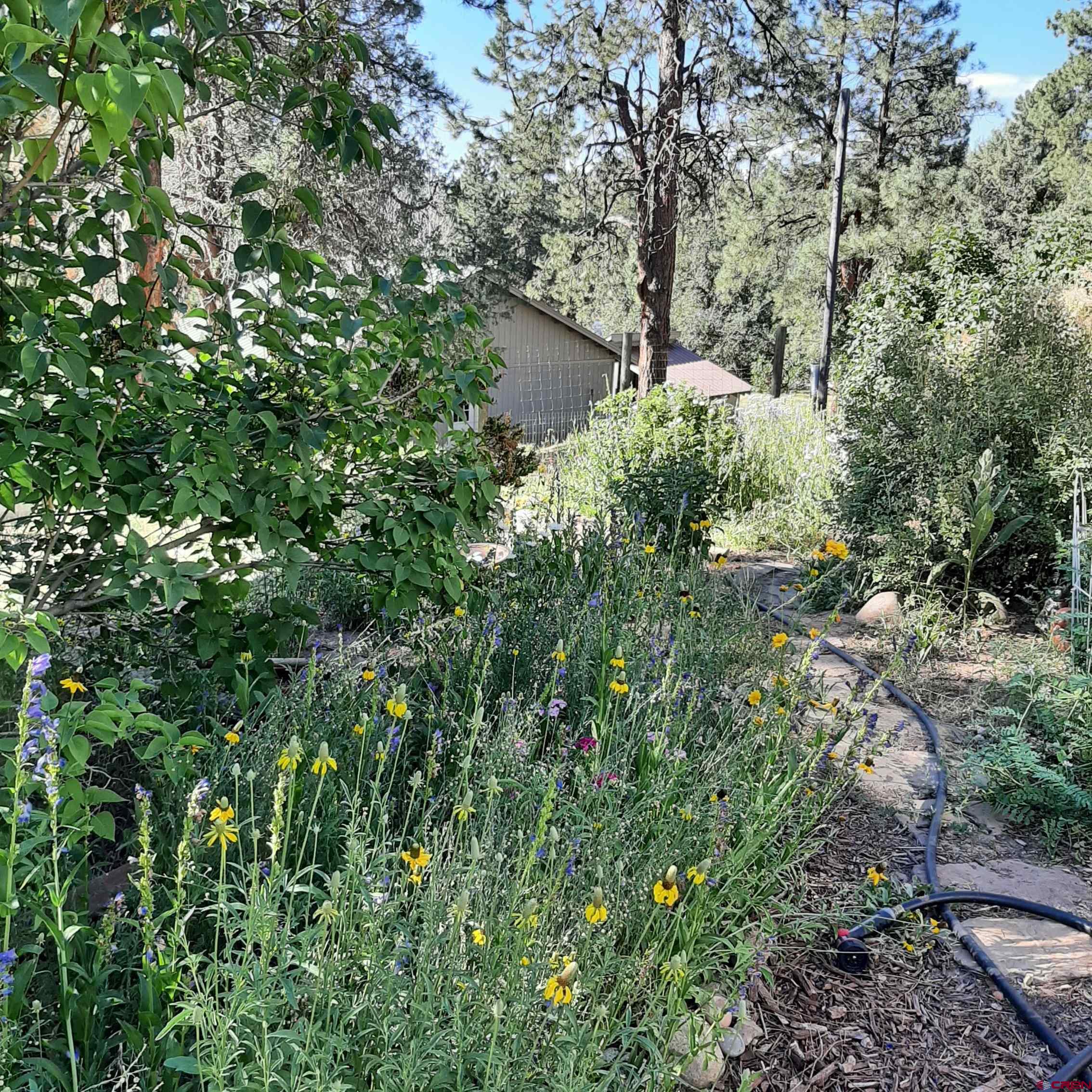 145 N Road Durango, CO 81303 - Photo 29 of 35 a plant that is in a garden
