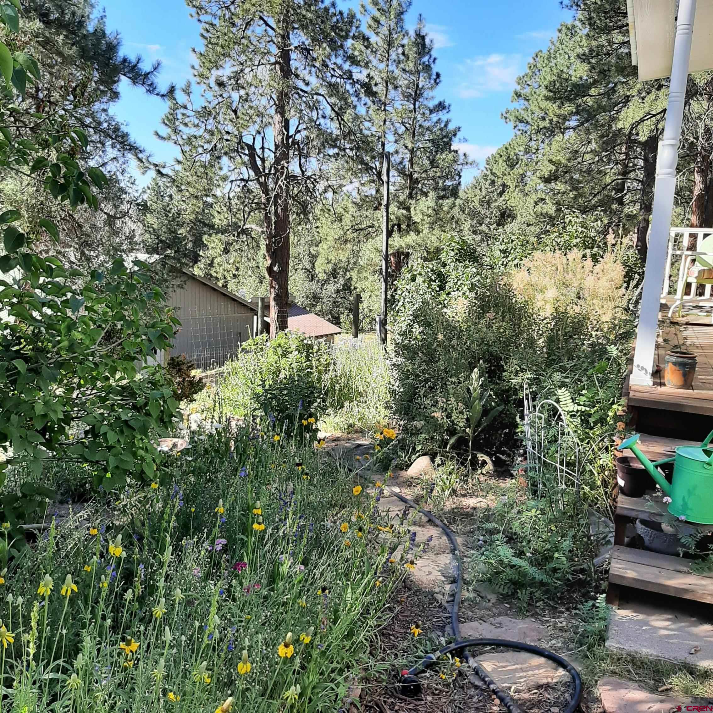 145 N Road Durango, CO 81303 - Photo 35 of 35 a view of a garden with plants and large trees