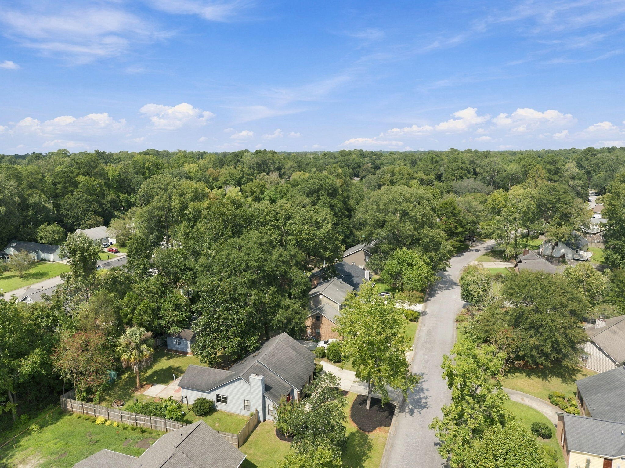101 Glebe Road Summerville, SC 29485 - Photo 46 of 50 46-web-or-mls-DJI_0146