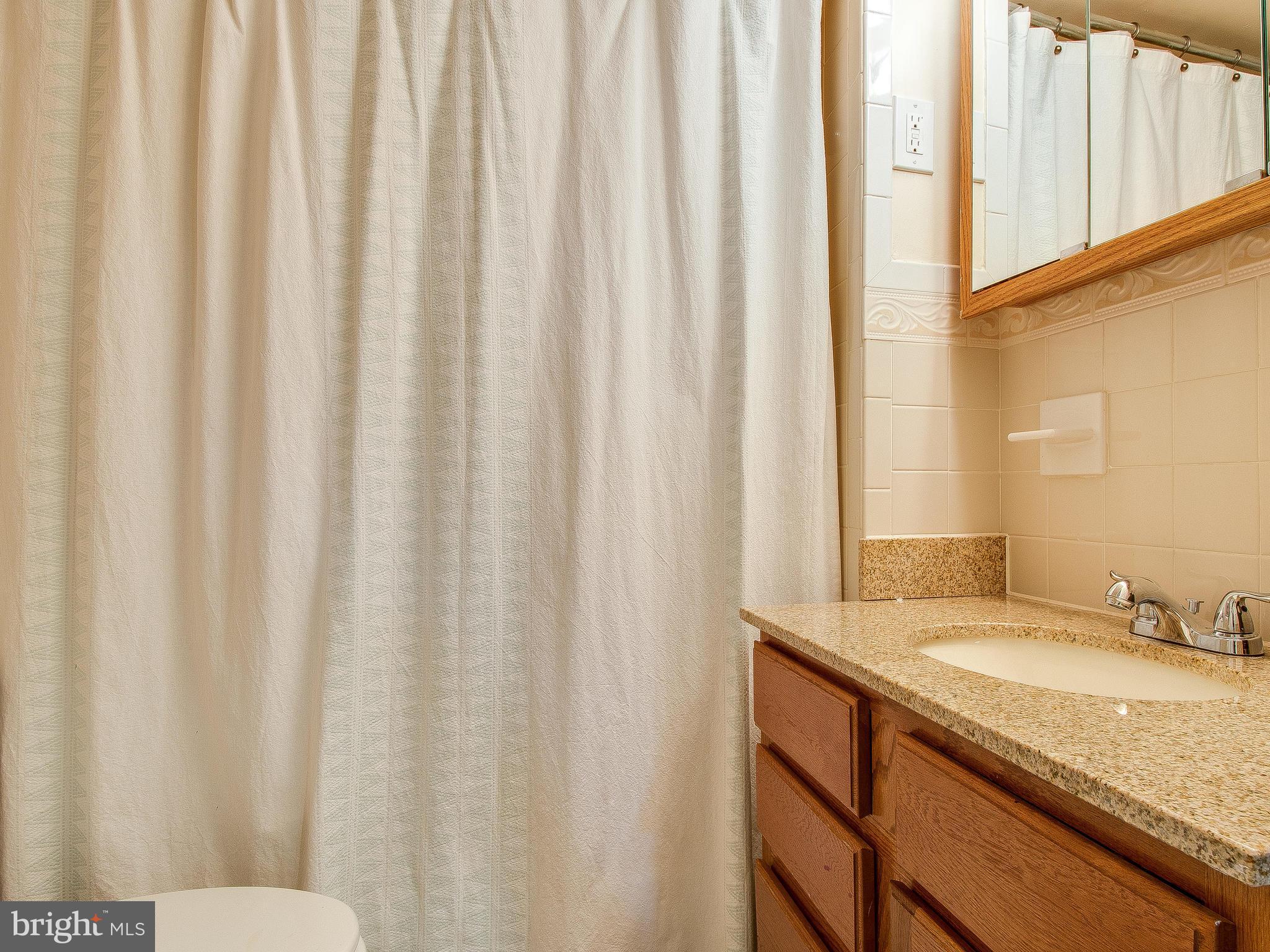 10202 Colesville Road Silver Spring, MD 20901 - Photo 26 of 30 Private lower level full bathroom.