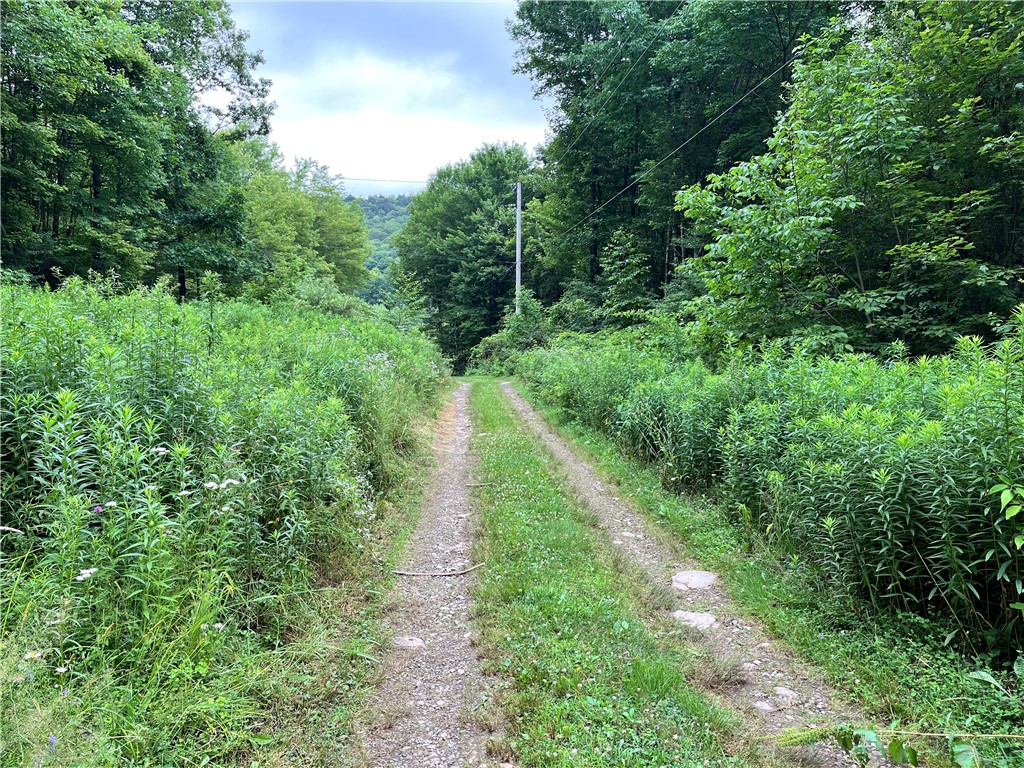 0 Marvin Hollow Road Walton, NY 13856 - Photo 2 of 22