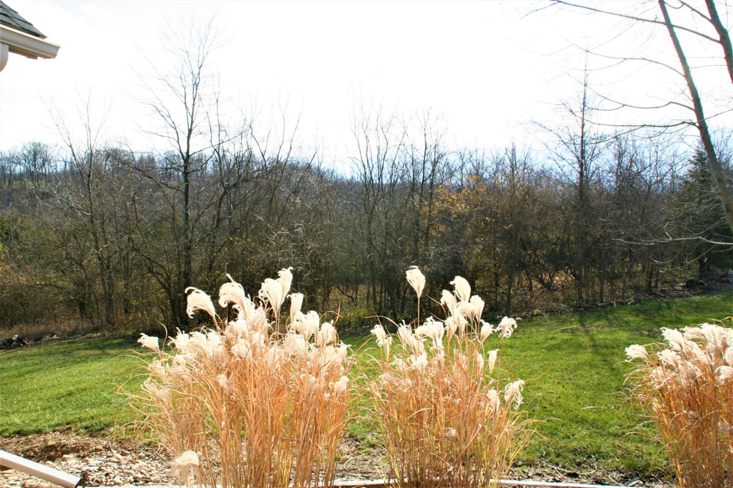 5194 Derenski Road Cedar Grove, IN 47016 - Photo 36 of 44 View from Great Room
