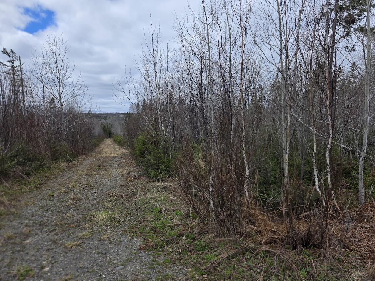 4 Gendreau Road Madawaska, ME 04773 - Photo 3 of 16