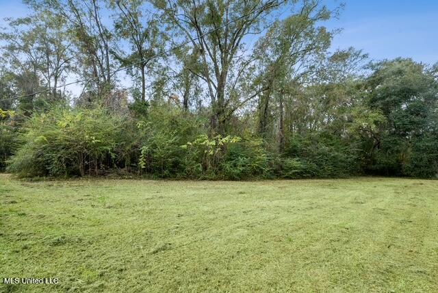 20228 Lewis Lane Picayune, MS 39466 - Photo 13 of 13 image0