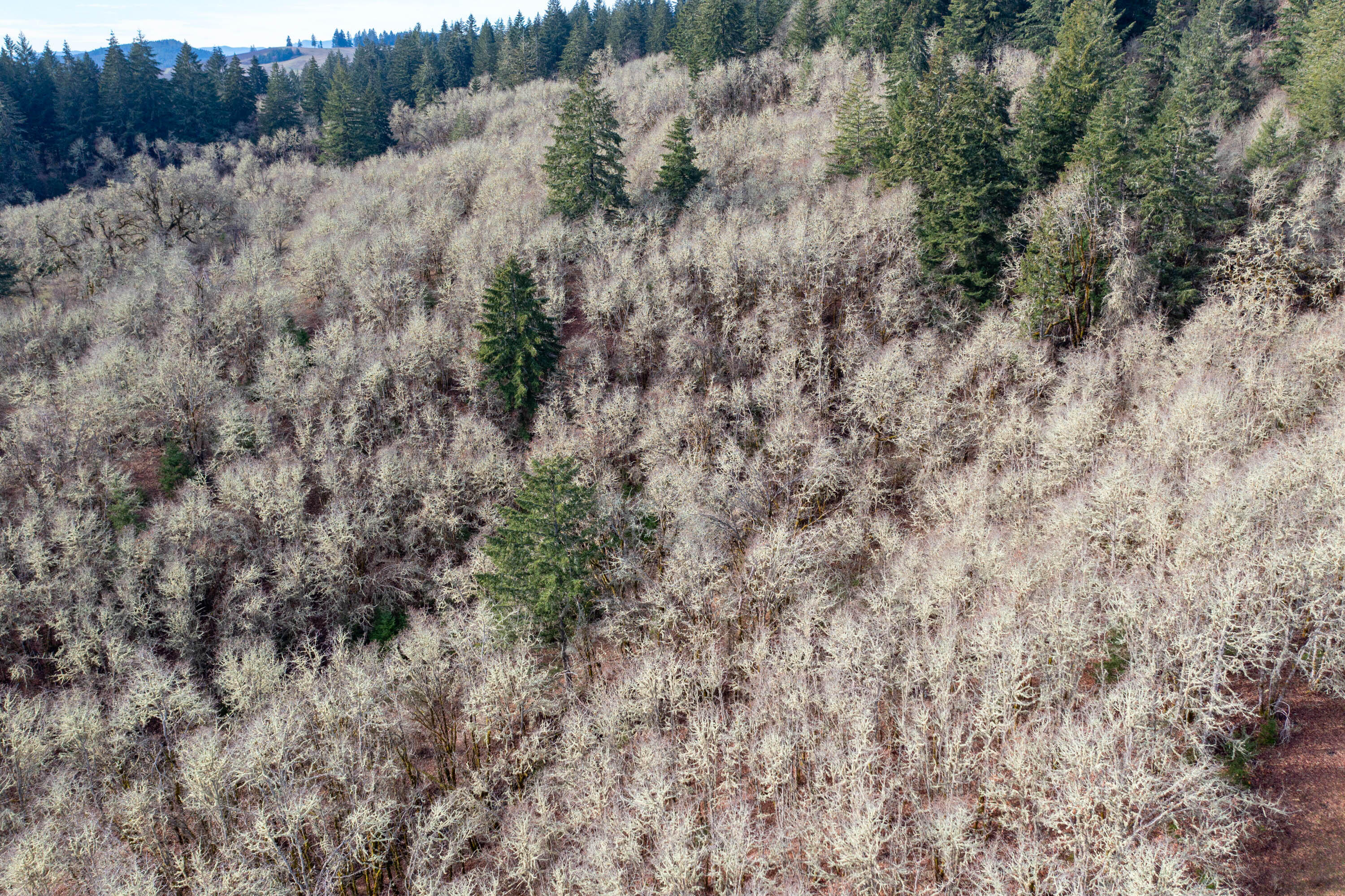 Airlie Road Monmouth, OR 97361 - Photo 28 of 34 Gallery Image 28