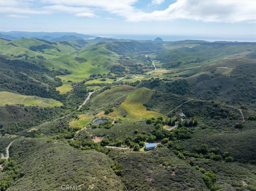 a view of a lush green forest with lush green forest