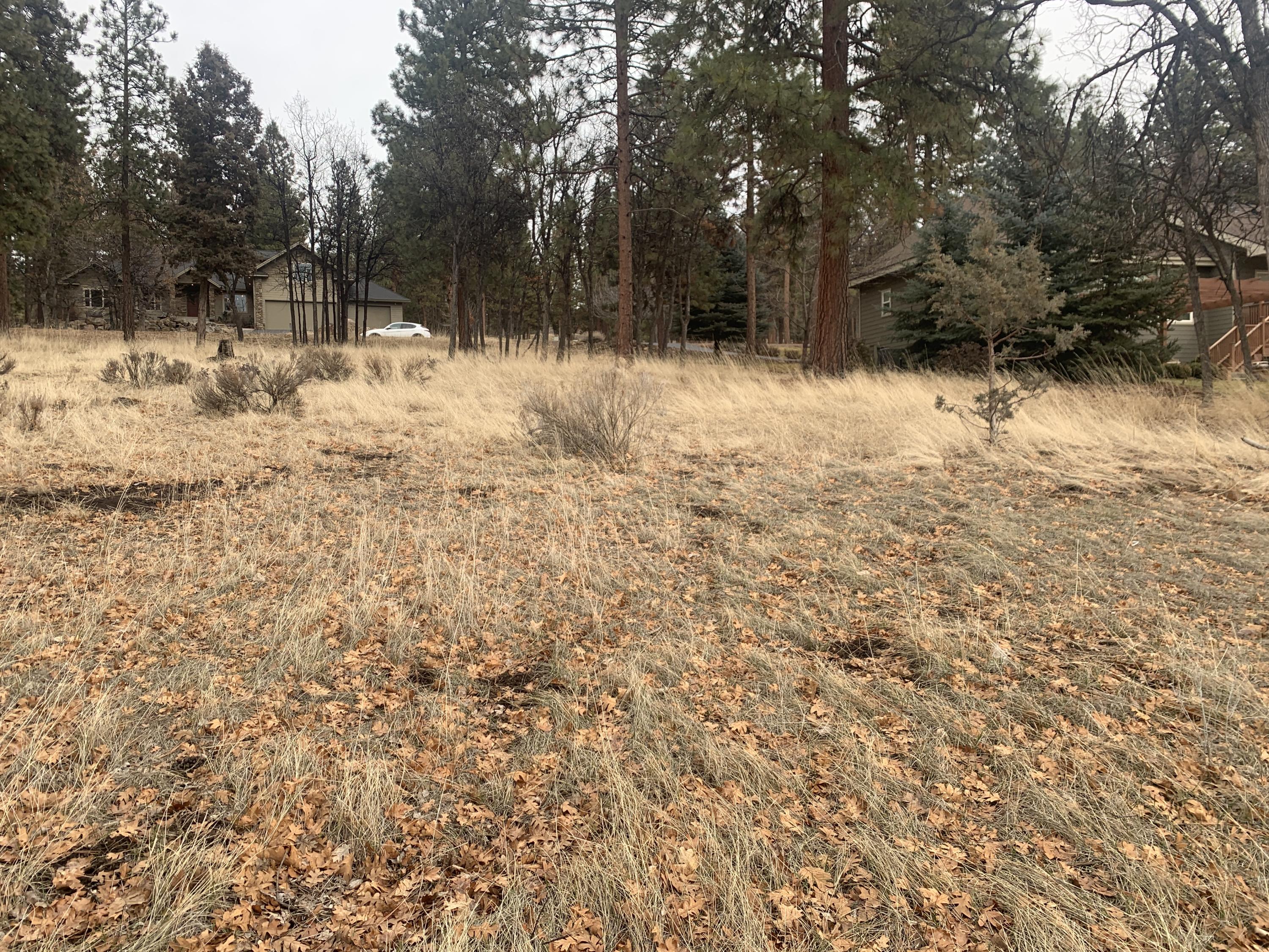 Lot 69 Merganser Road Klamath Falls, OR 97601 - Photo 16 of 20 IMG_9657