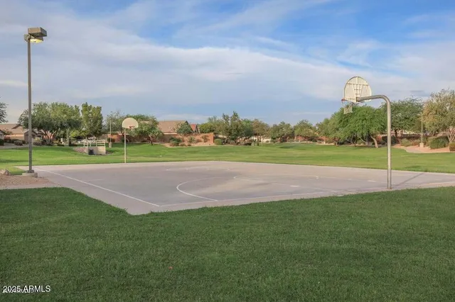 a garden view with a play ground