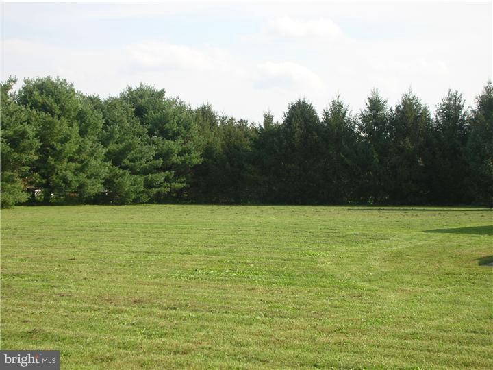 179 Bordentown Georgetown Road Chesterfield, NJ 08515 - Photo 19 of 25 View in Back