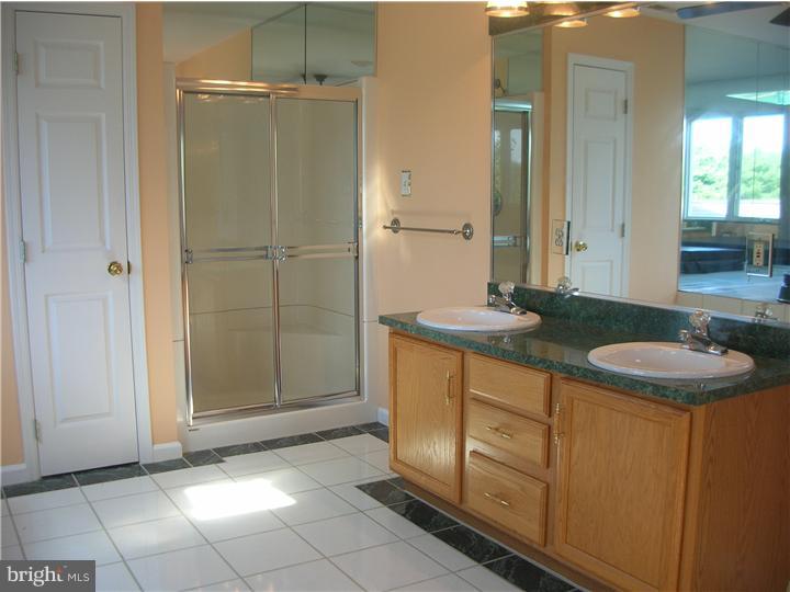 179 Bordentown Georgetown Road Chesterfield, NJ 08515 - Photo 8 of 25 Master Bathroom