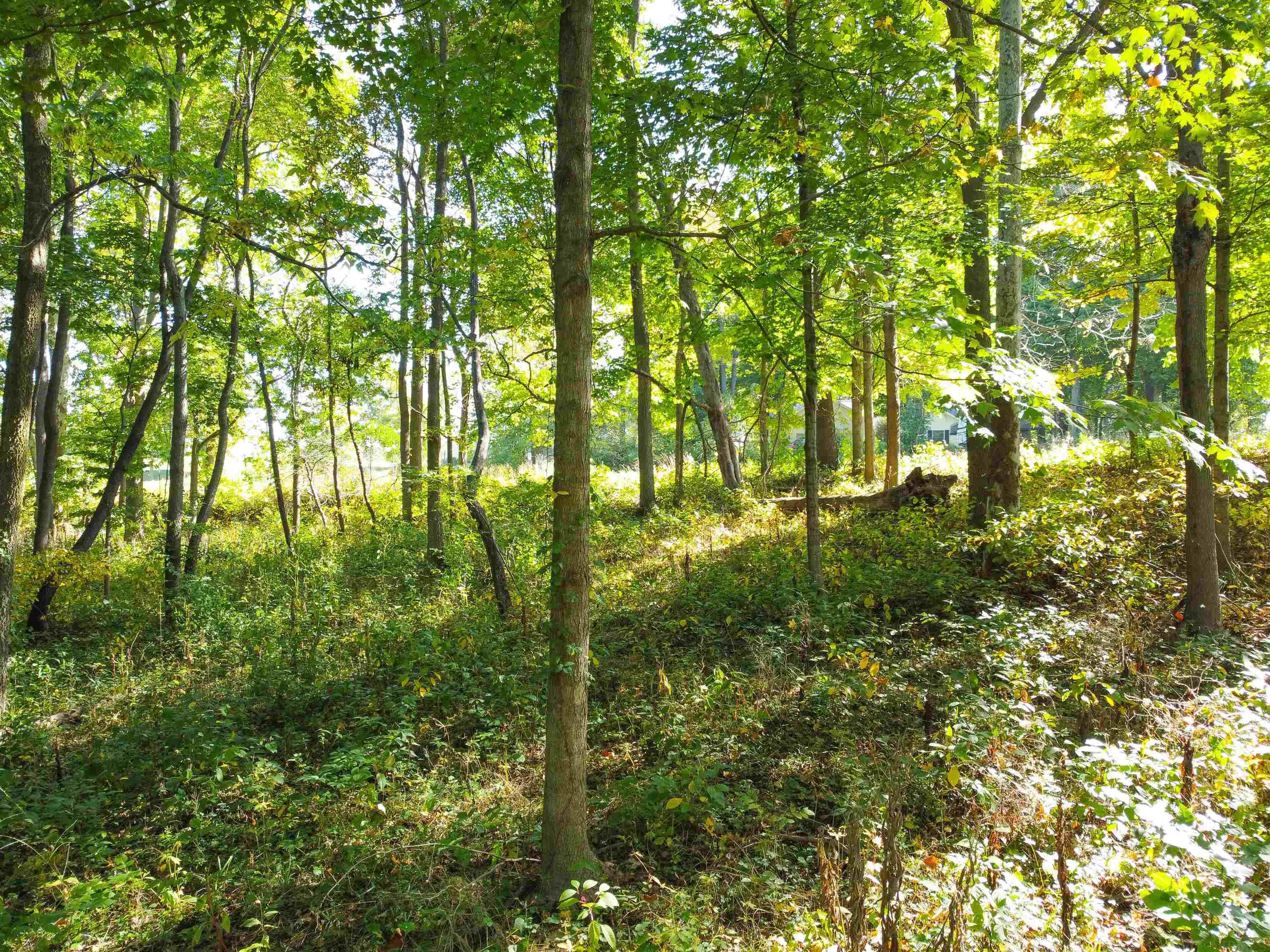 Tbd Tbd Logan Warsaw, IN 46580 - Photo 3 of 6