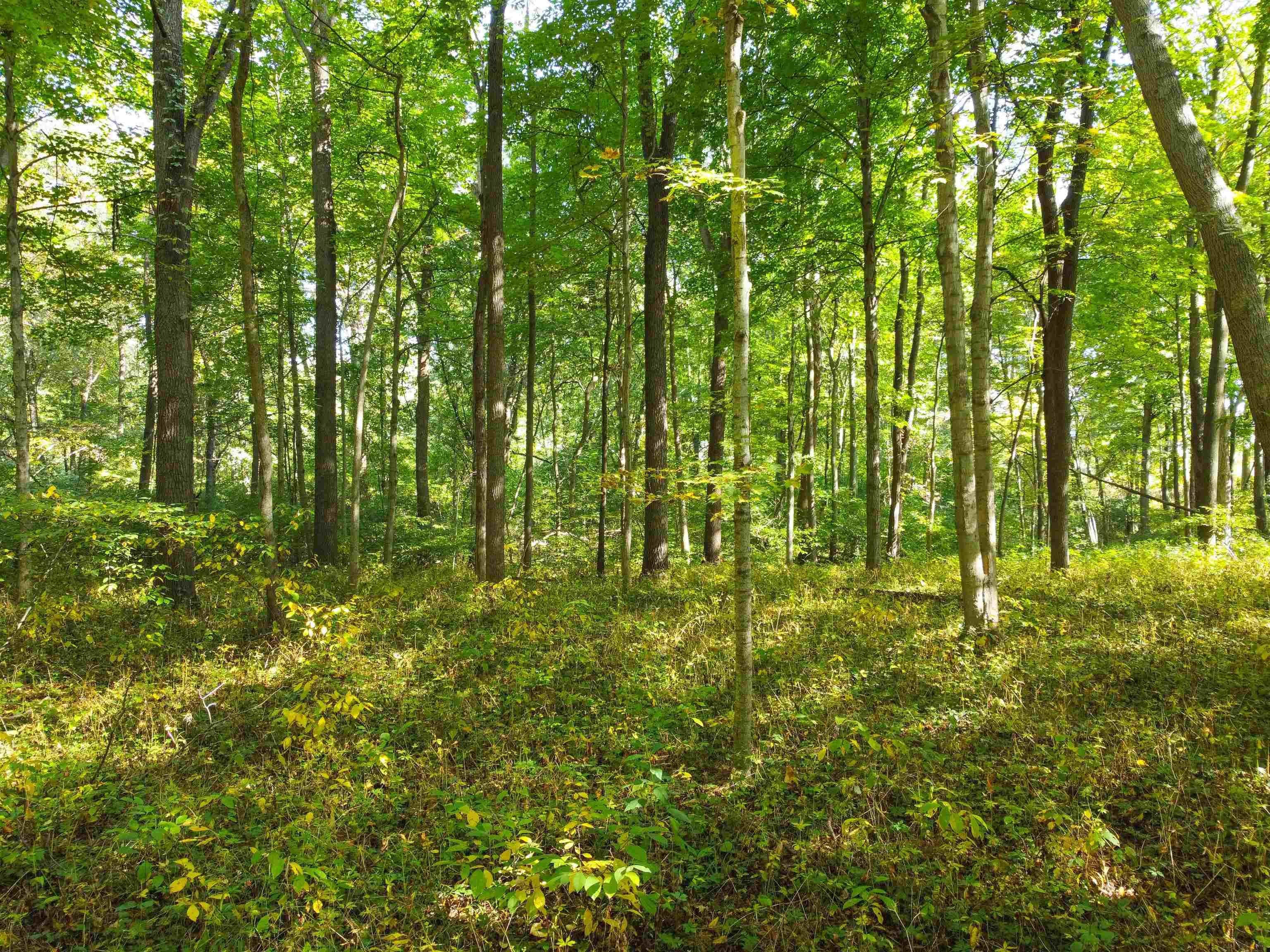 Tbd Tbd Logan Warsaw, IN 46580 - Photo 4 of 6