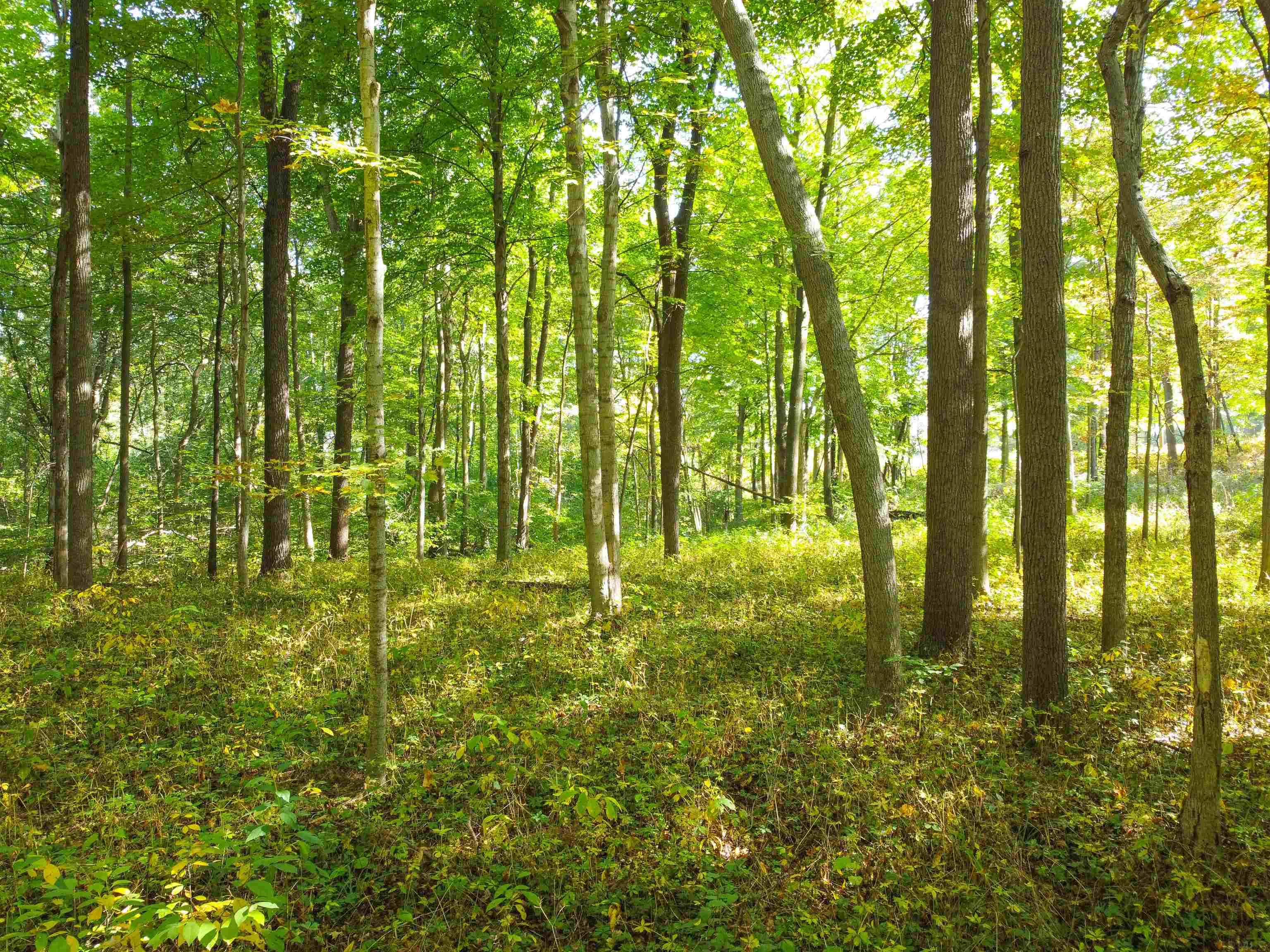 Tbd Tbd Logan Warsaw, IN 46580 - Photo 5 of 6