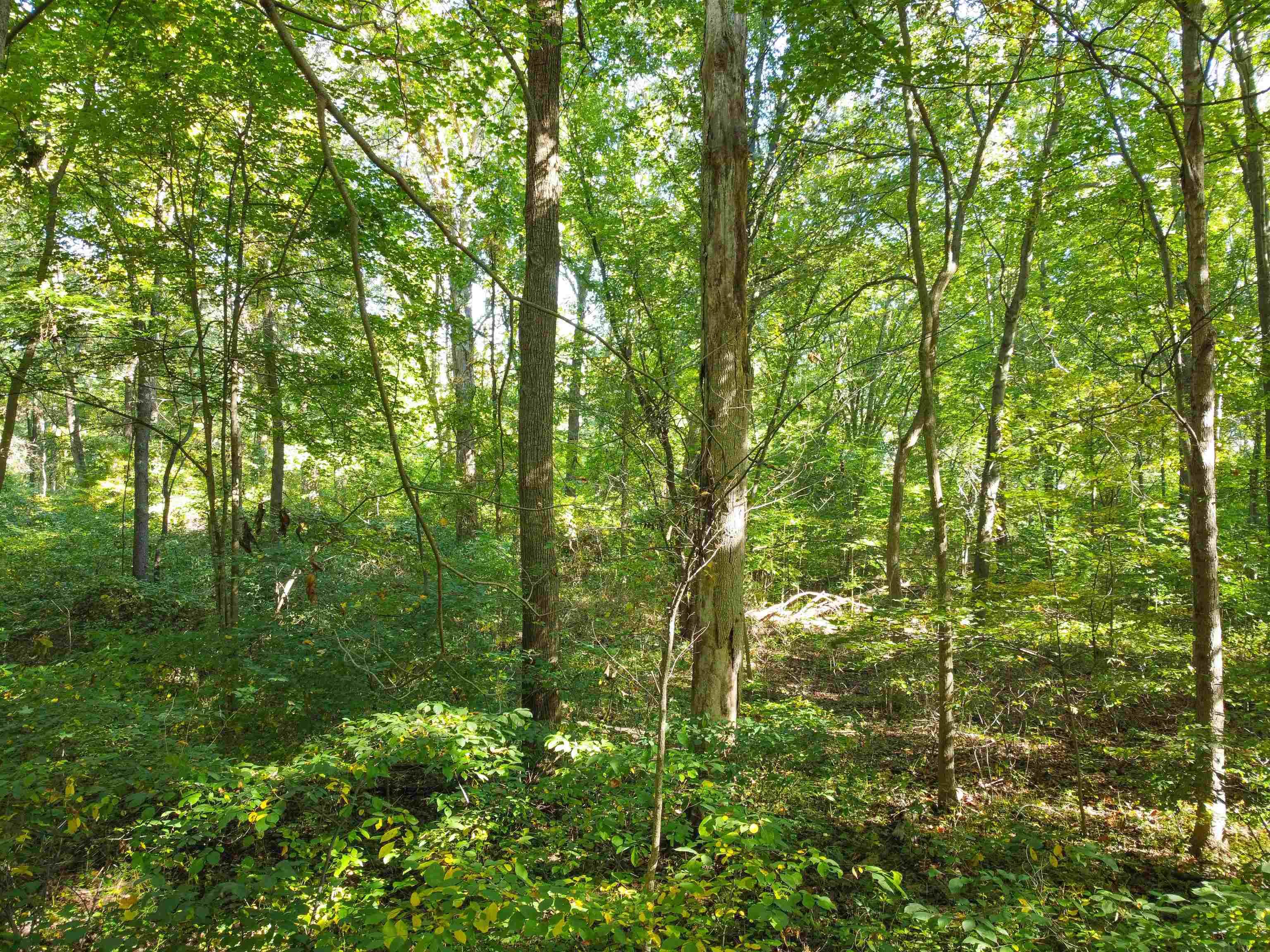 Tbd Tbd Logan Warsaw, IN 46580 - Photo 6 of 6