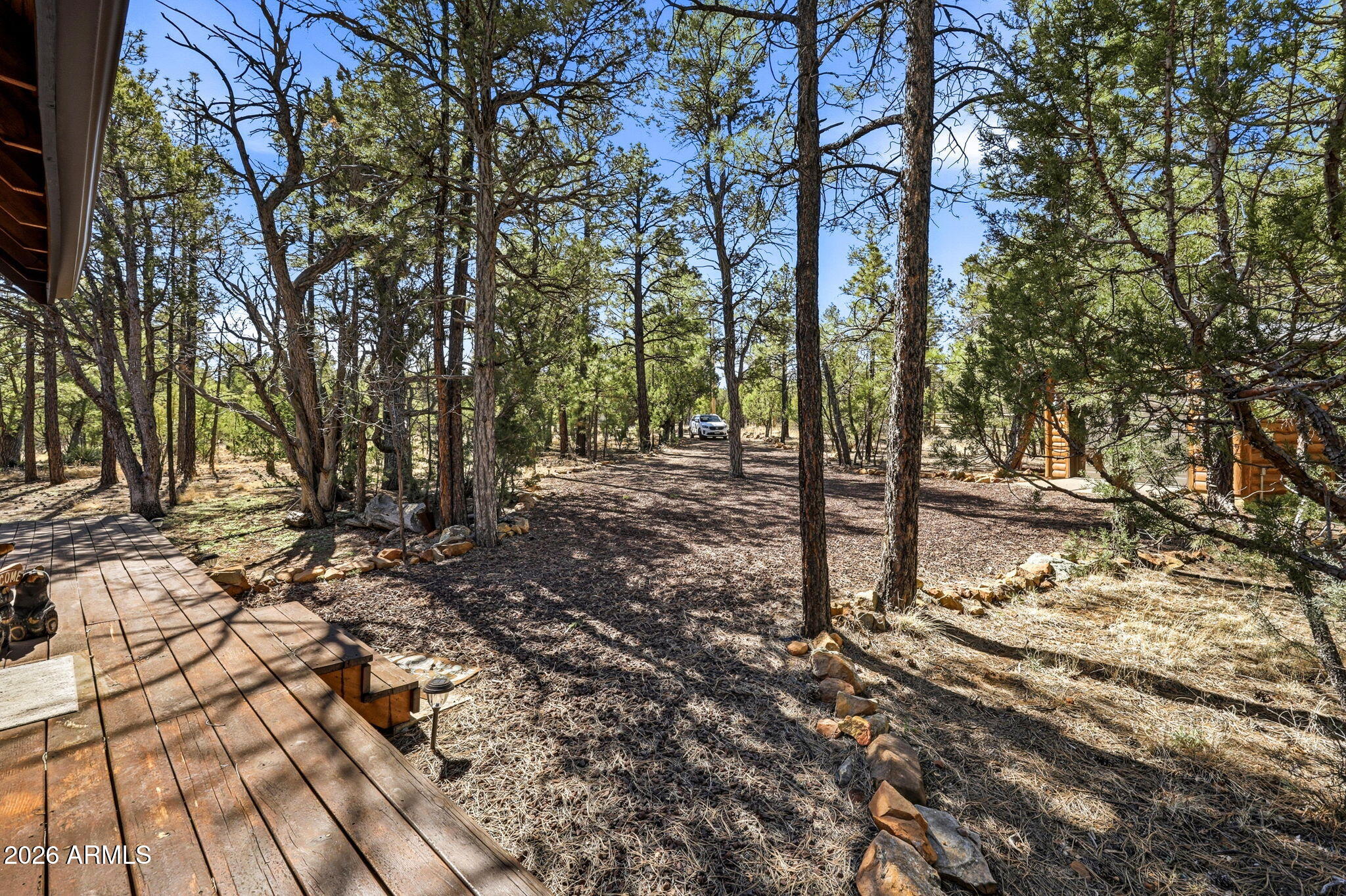 2028 Jone's Pass Overgaard, AZ 85933 - Photo 4 of 37