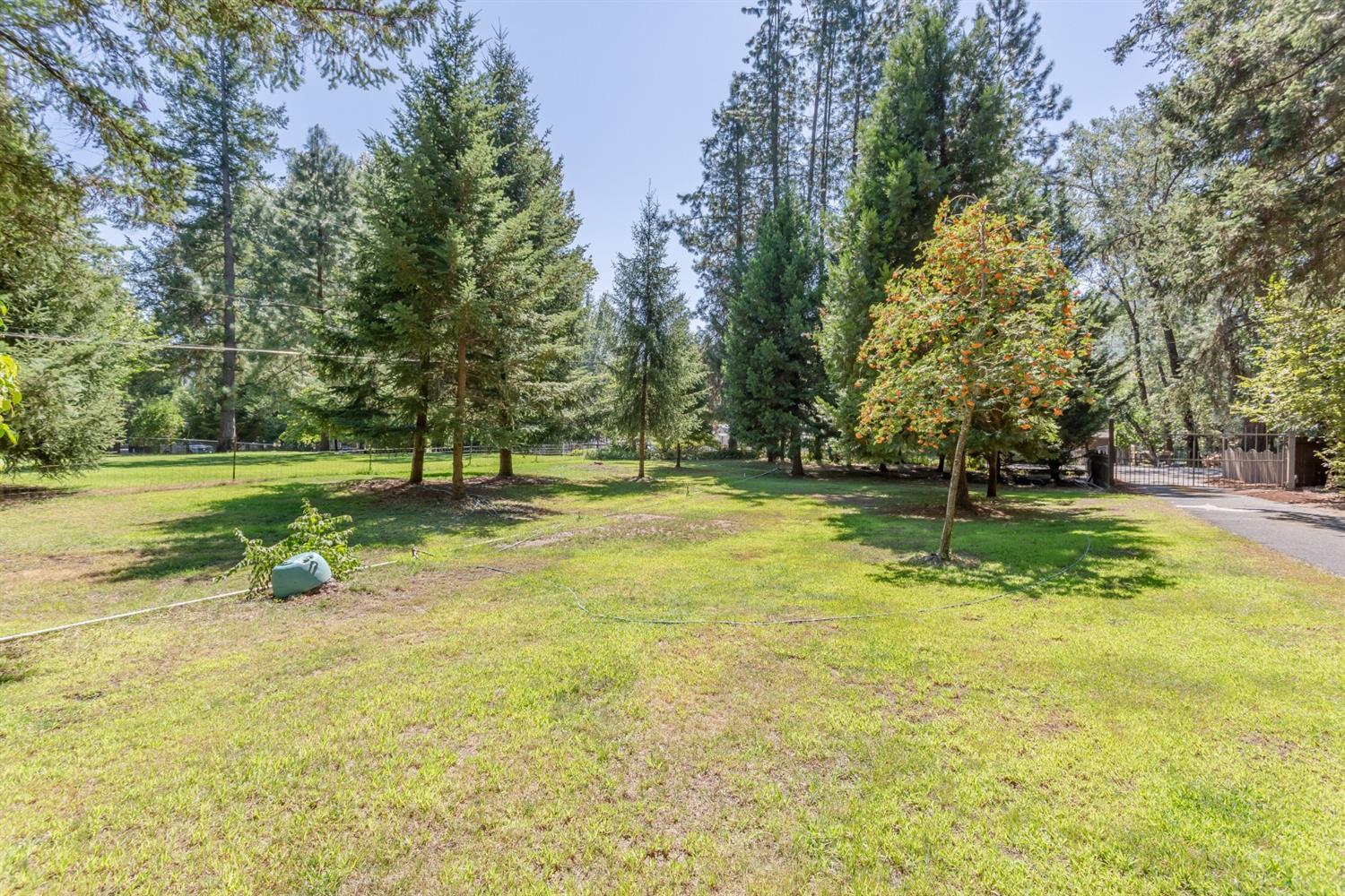 1886 Lampman Road Gold Hill, OR 97525 - Photo 18 of 35 Additional Photo