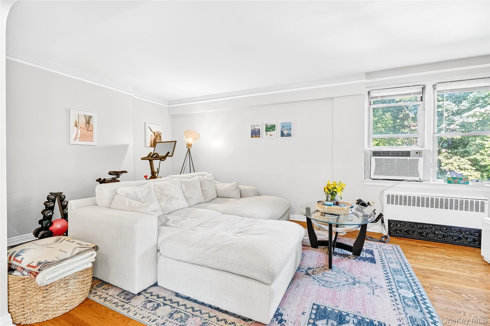 821 Bronx River Road, Unit 5J Bronxville, NY 10708 - Photo 14 of 30 a living room with furniture and a window