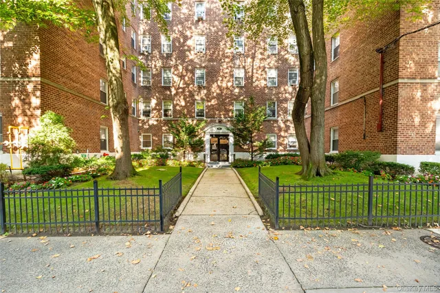 a view of a park with a large trees