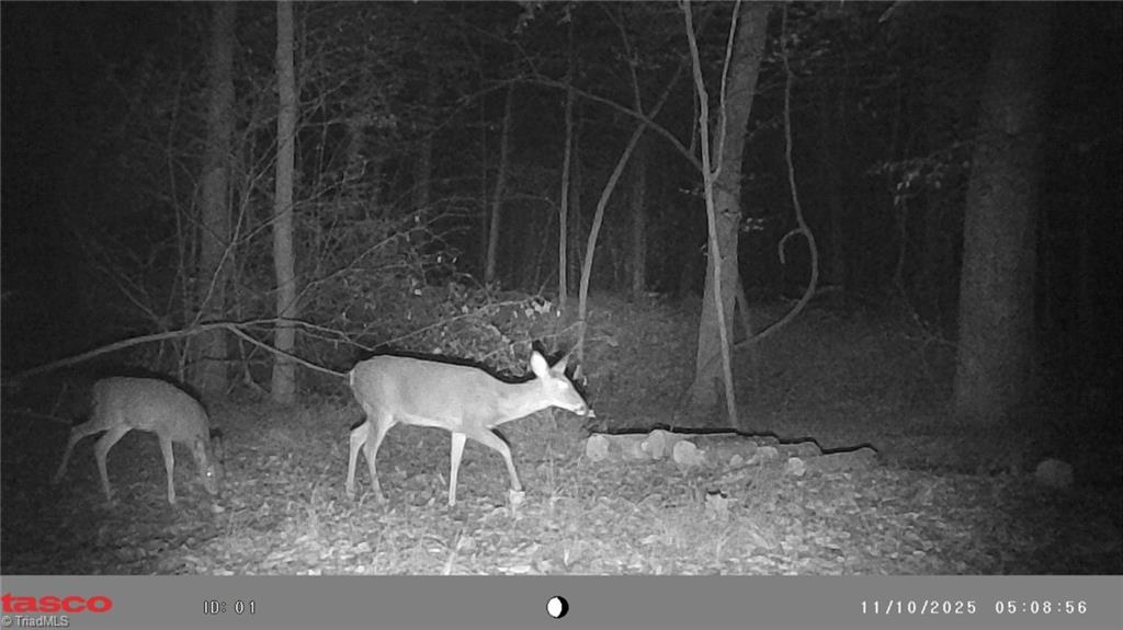 5706 Turner Smith Road Browns Summit, NC 27214 - Photo 20 of 23