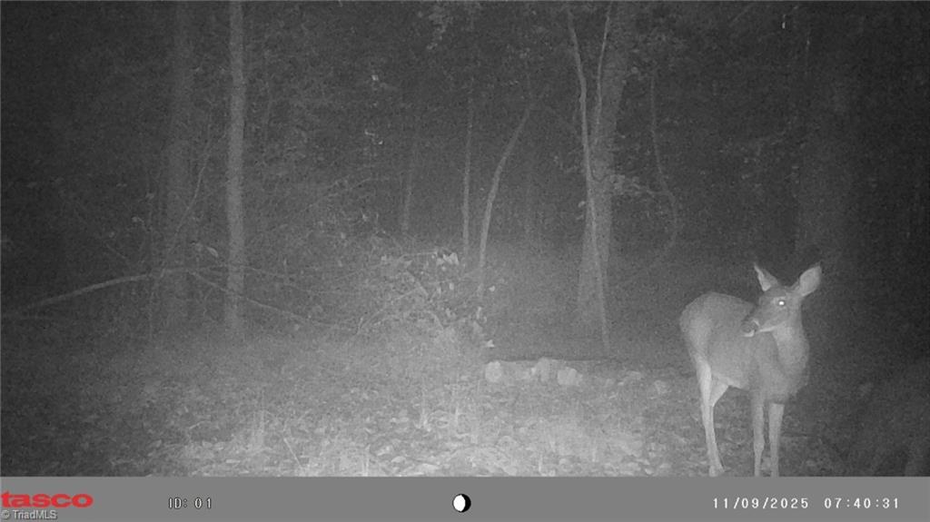 5706 Turner Smith Road Browns Summit, NC 27214 - Photo 21 of 23