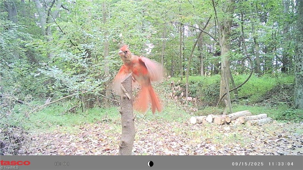5706 Turner Smith Road Browns Summit, NC 27214 - Photo 22 of 23