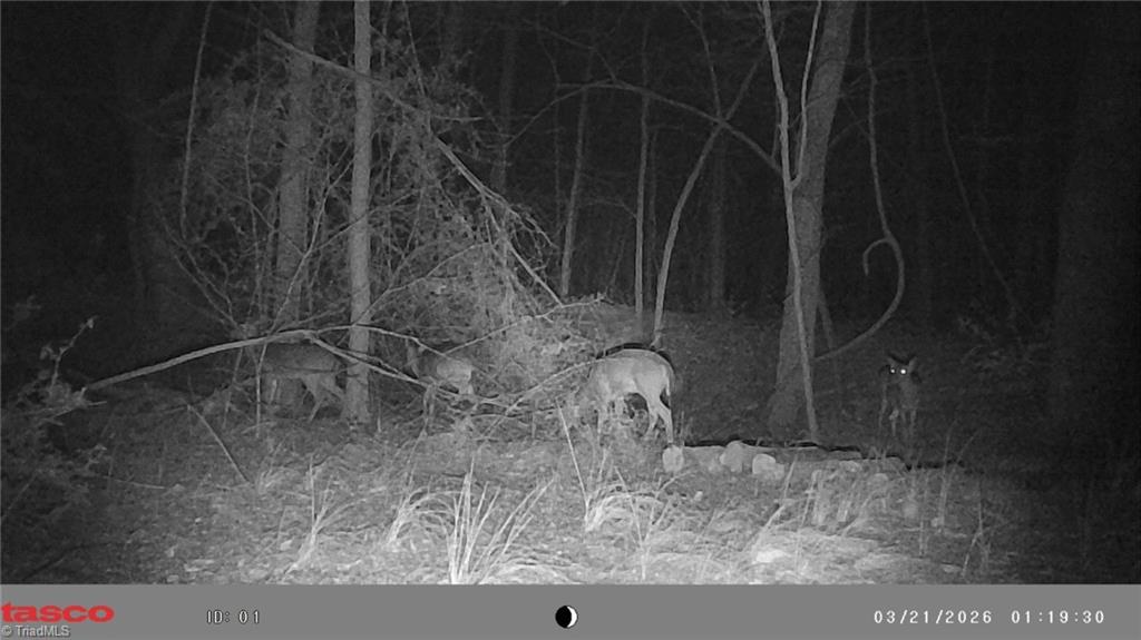 5706 Turner Smith Road Browns Summit, NC 27214 - Photo 23 of 23