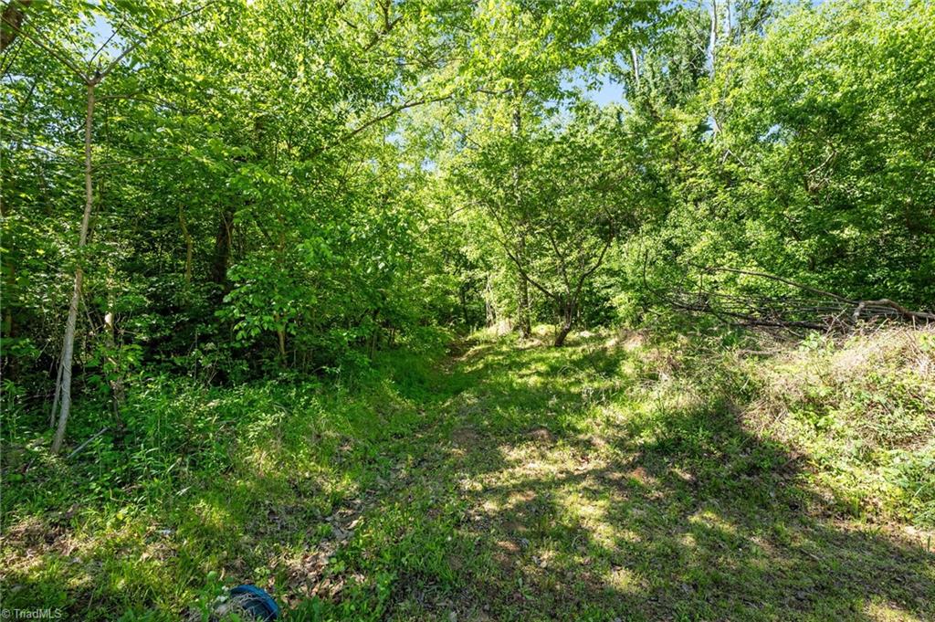 5706 Turner Smith Road Browns Summit, NC 27214 - Photo 4 of 23