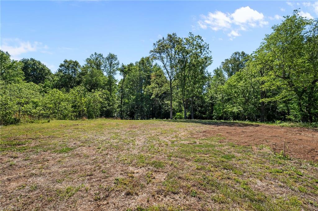 5706 Turner Smith Road Browns Summit, NC 27214 - Photo 5 of 23 Proposed Homesite