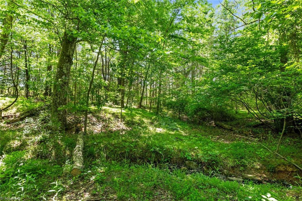 5706 Turner Smith Road Browns Summit, NC 27214 - Photo 7 of 23 Path to Stream at the back of property
