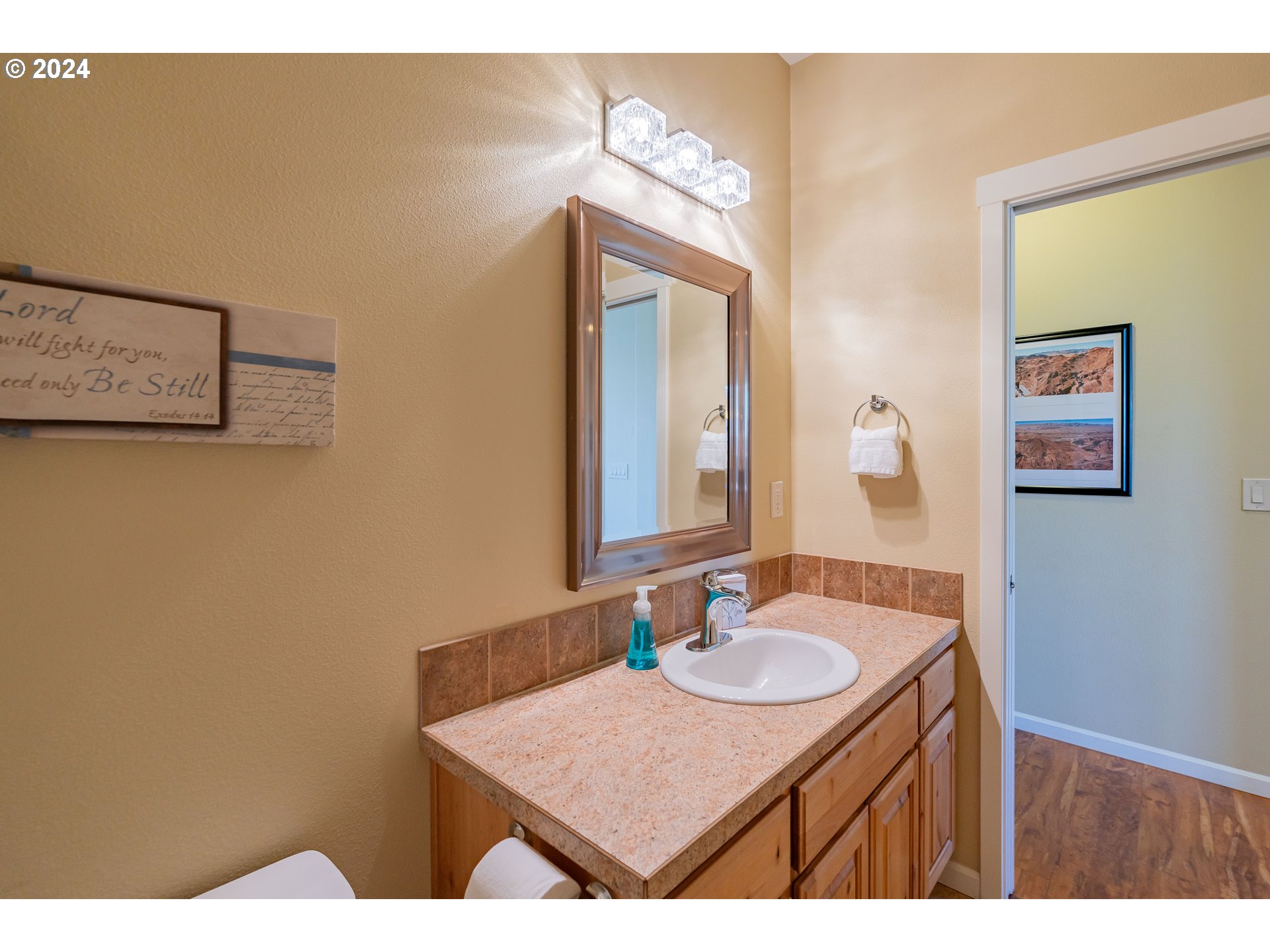 331 North 35th Avenue Ridgefield, WA 98642 - Photo 25 of 39 a bathroom with a sink vanity and a mirror