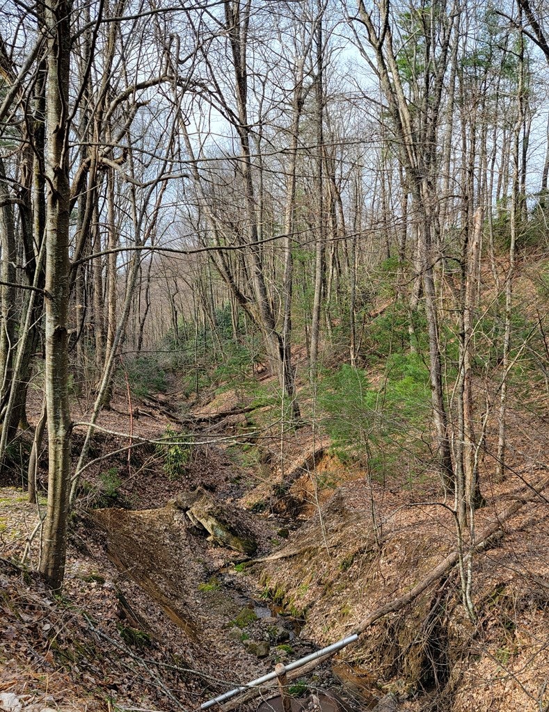 921 Blue Ridge School Road Fancy Gap, VA 24328 - Photo 4 of 51 Gallery Image 4