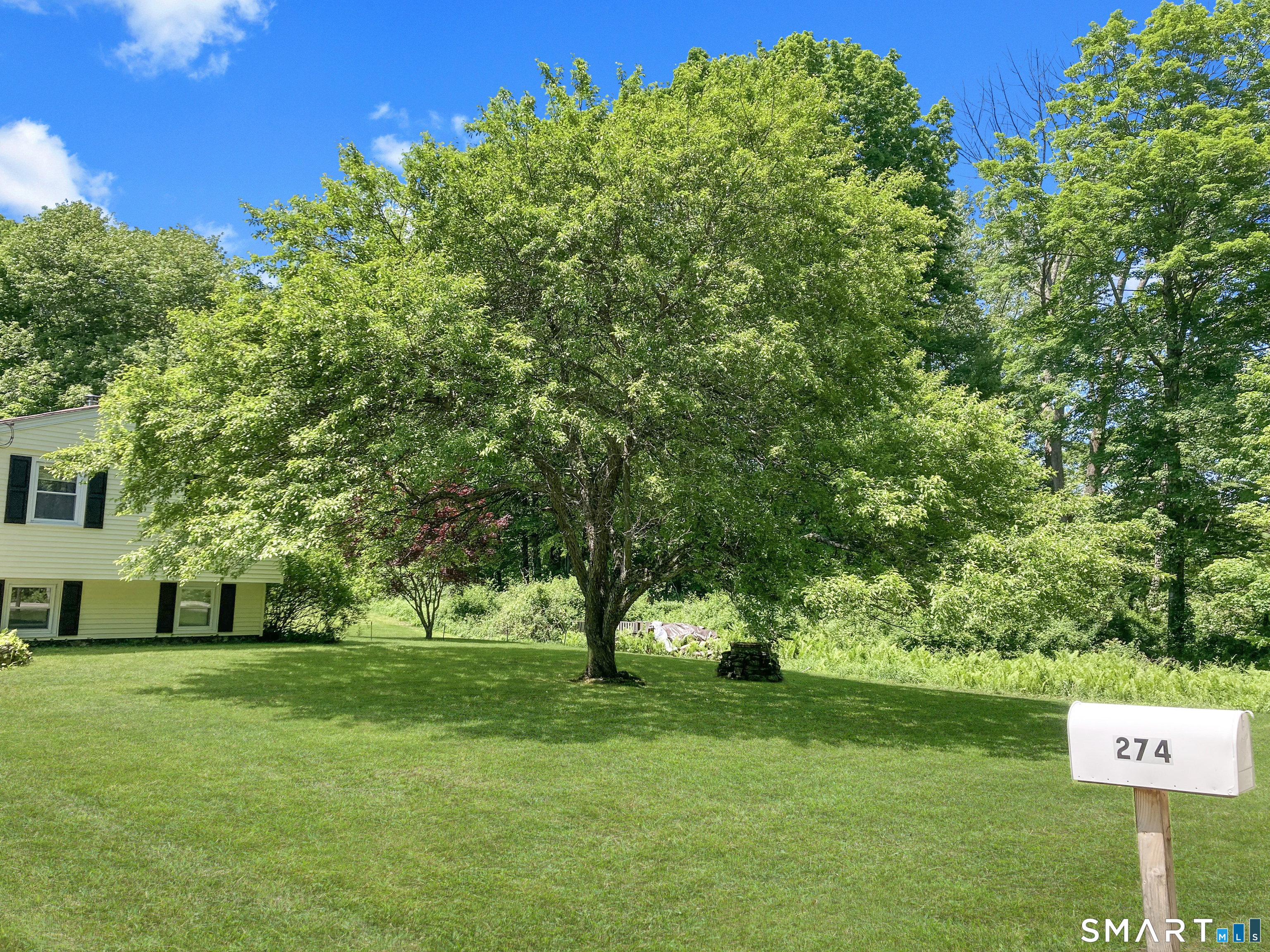 274 Hanks Hill Road Mansfield, CT 06268 - Photo 2 of 40