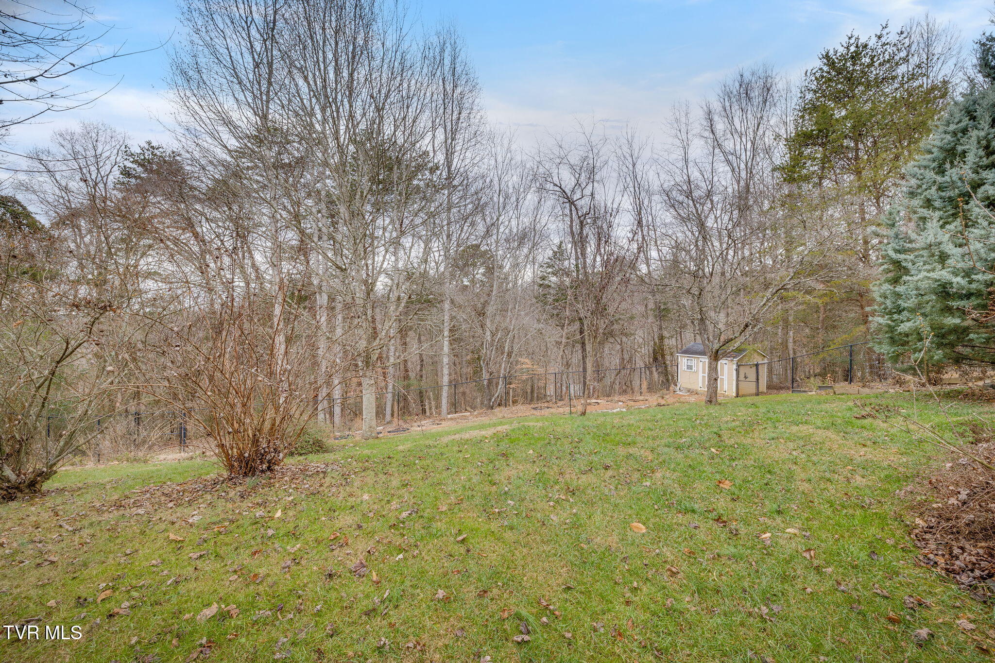 355 Huckleberry Road Bluff City, TN 37618 - Photo 43 of 50 042