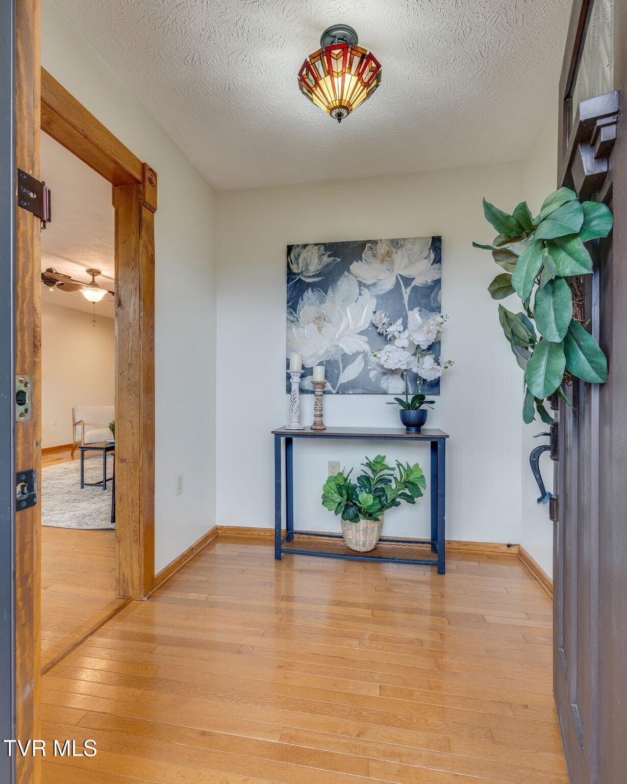 355 Huckleberry Road Bluff City, TN 37618 - Photo 6 of 50 007 edited