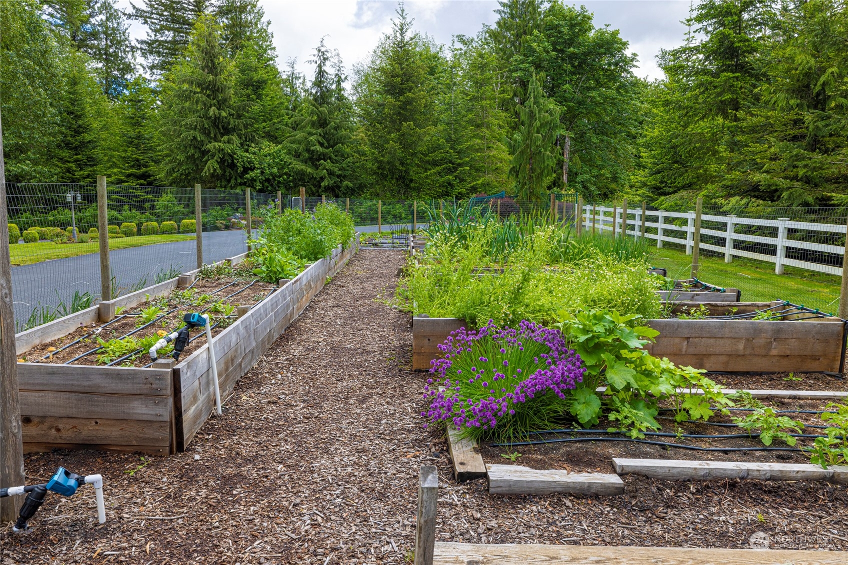 6055 East Hemmi Road Bellingham, WA 98226 - Photo 33 of 40 a garden view with a seating space