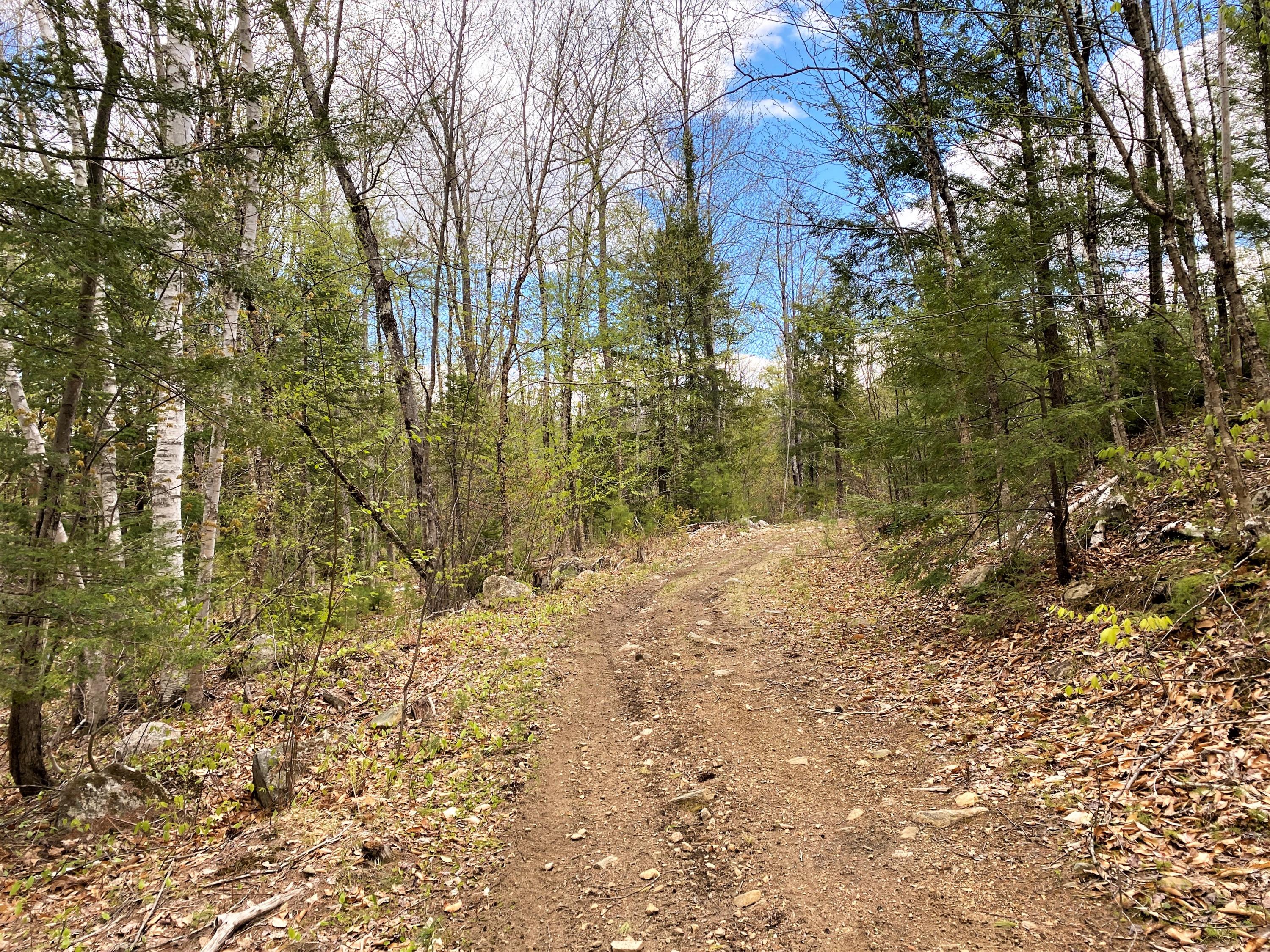 0 Libby Road, Unit LOT #1 West Newfield, ME 04095 - Photo 3 of 14 IMG_13671