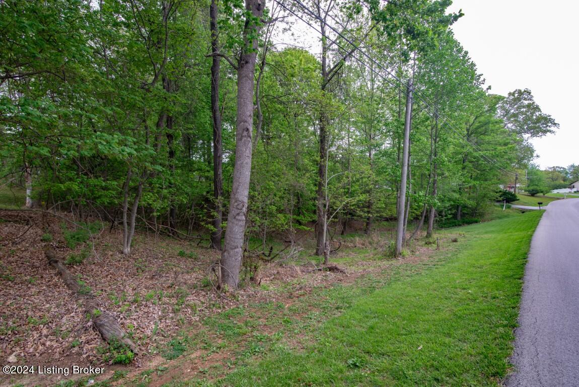 866 Ireland School Road Radcliff, KY 40160 - Photo 69 of 76 866 Ireland School Rd-69