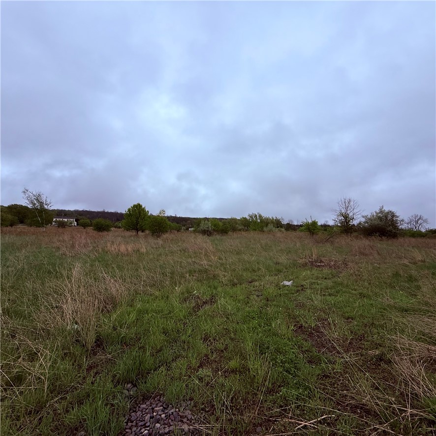 0 Reeds Corners Road Dansville, NY 14437 - Photo 11 of 13