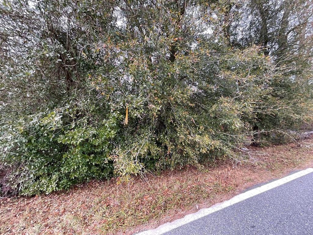 0 Booster Club Road, Unit 39 Bainbridge, GA 39819 - Photo 13 of 24 Gallery Image 13