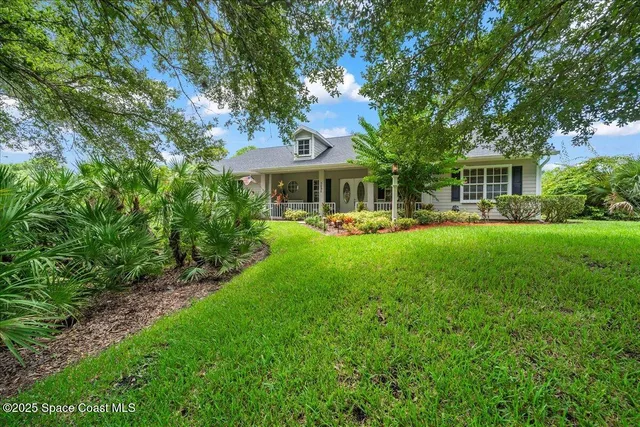 a view of a tree in a yard