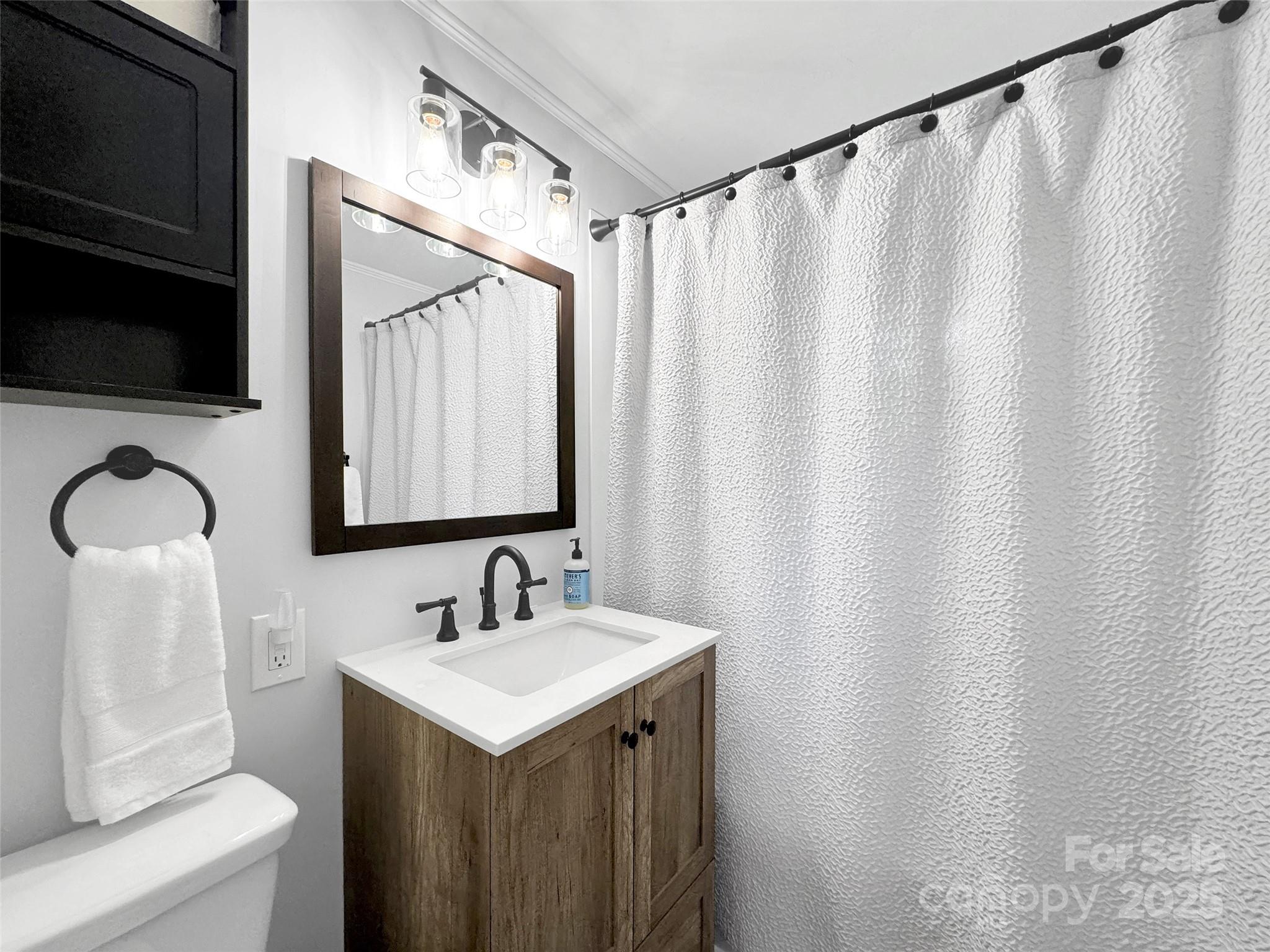 340 Mauney Cove Road Waynesville, NC 28786 - Photo 16 of 35 a bathroom with a sink and a mirror