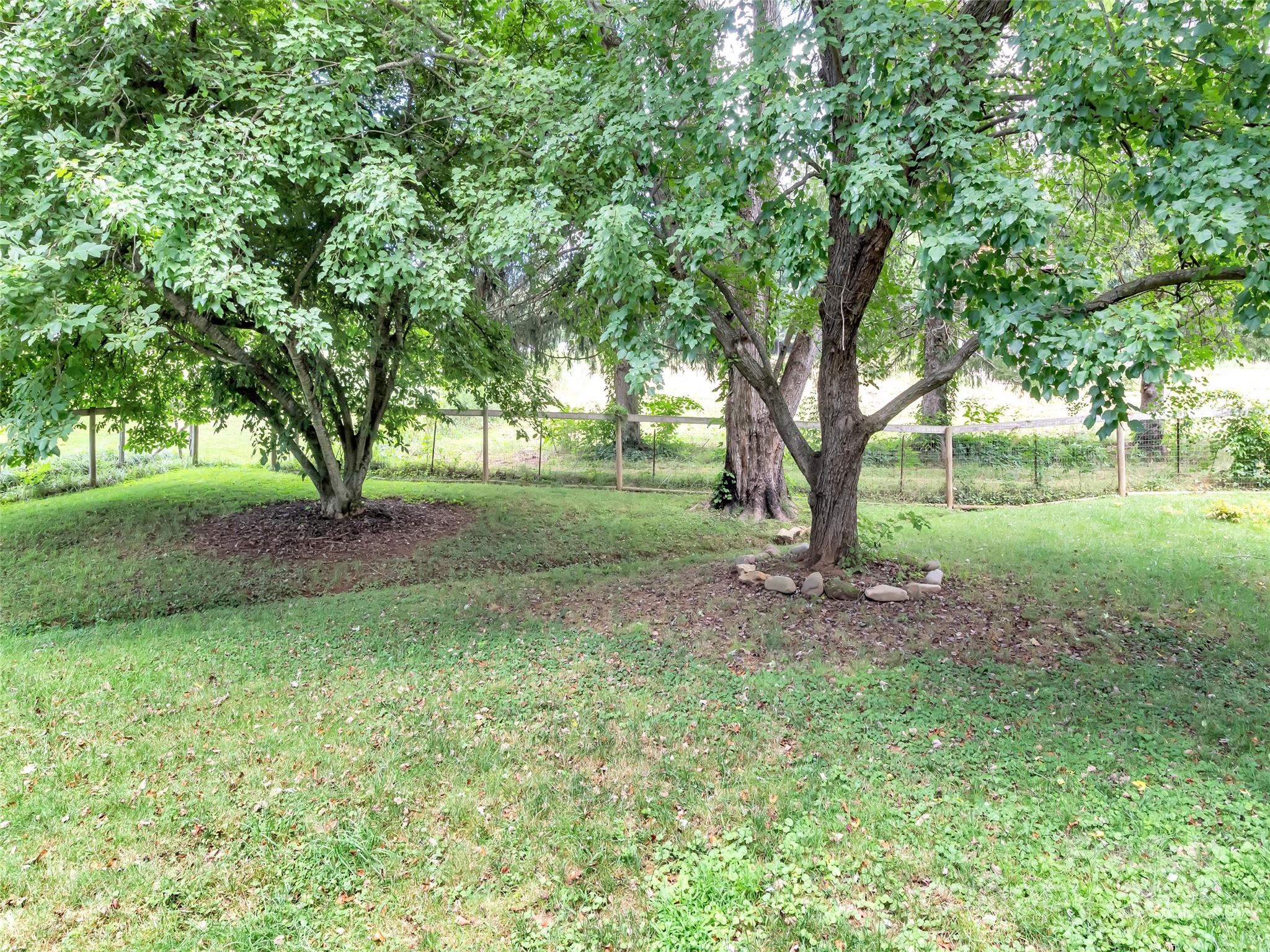 340 Mauney Cove Road Waynesville, NC 28786 - Photo 28 of 35 a view of a large yard with lots of green space
