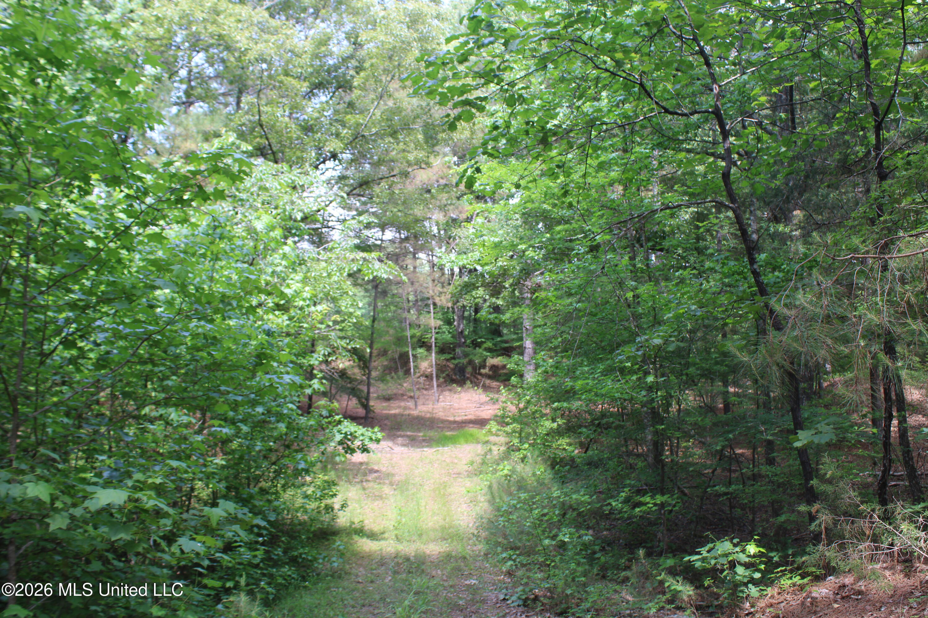 500 Boswell Road Holly Springs, MS 38635 - Photo 23 of 23 IMG_7811