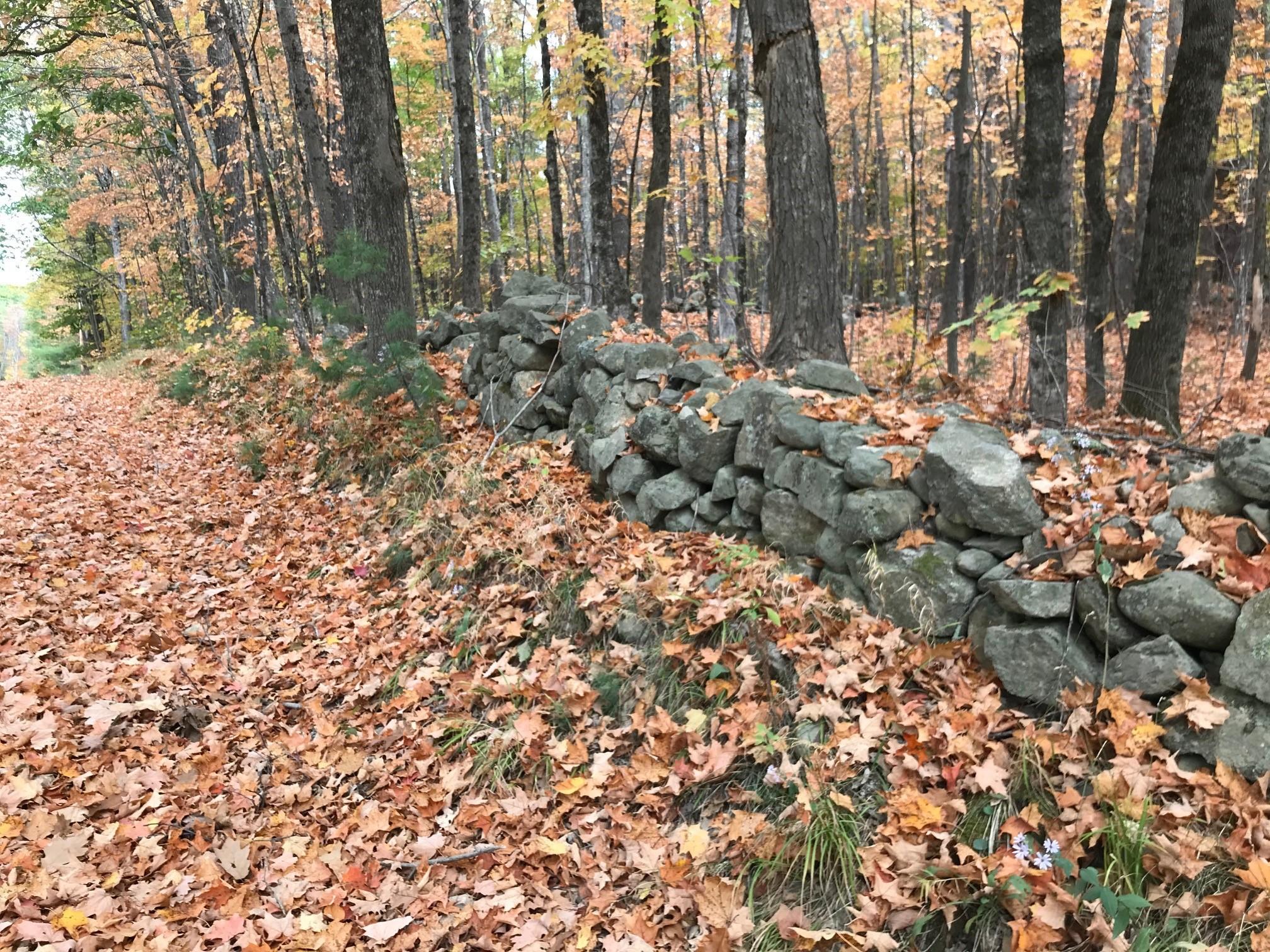 0 Spring Road West Newfield, ME 04095 - Photo 4 of 17 4