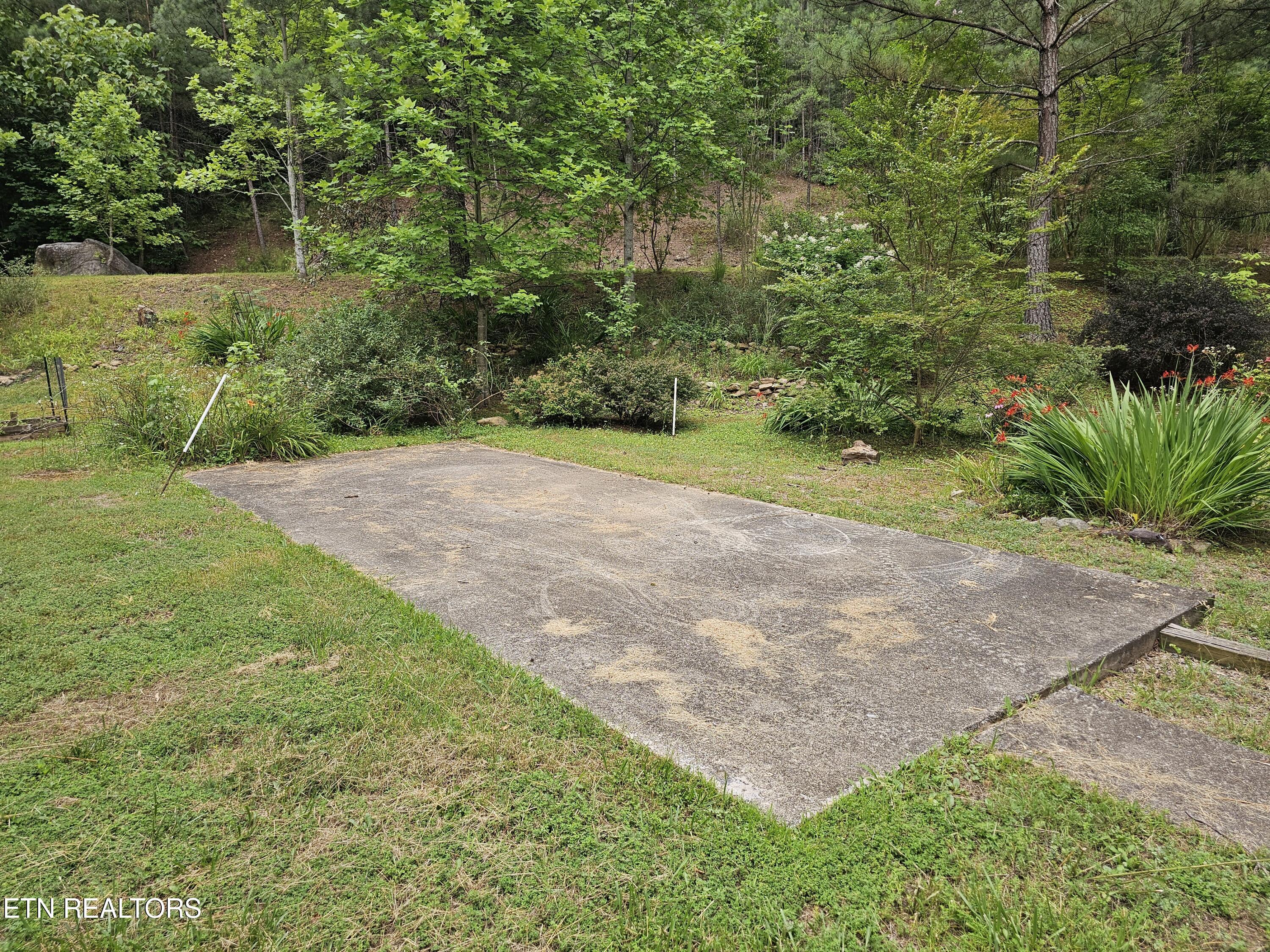 925 Tweed Springs Road Greeneville, TN 37743 - Photo 38 of 53 20260618_173037
