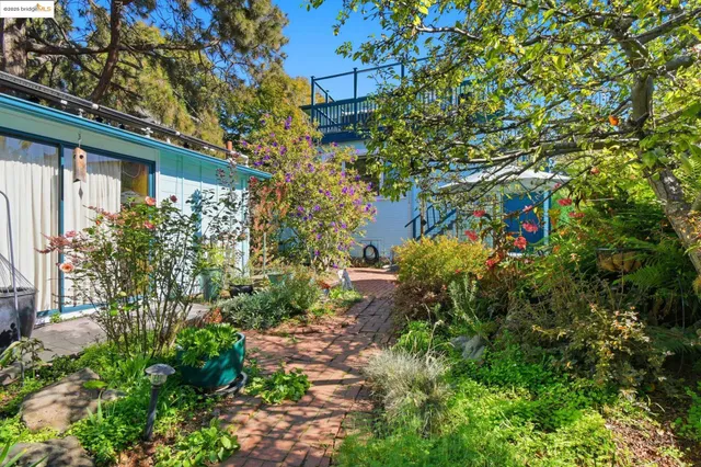 a view of a house with a tree