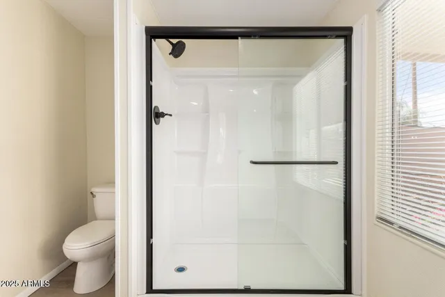 a bathroom with a shower a toilet and a window